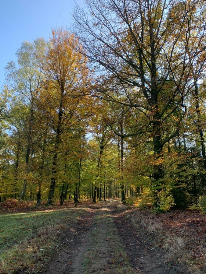 Gites La Tabatiere Laforêt Exteriör bild